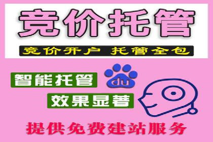 SEM推广实战：案例分析及优化建议